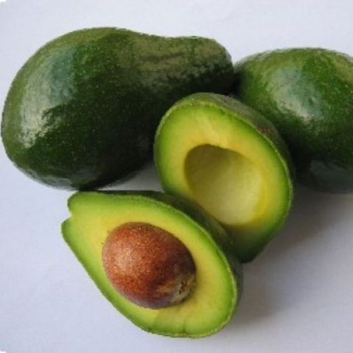 100ml avocado oil 酪梨油